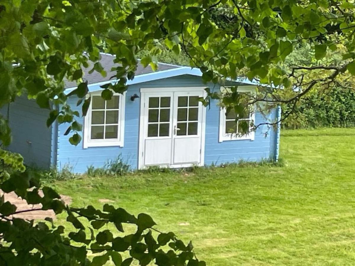 Oak View Lodge - Cosy, Countryside Retreat Maybole Exteriör bild